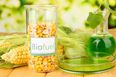 Pontiago biofuel availability