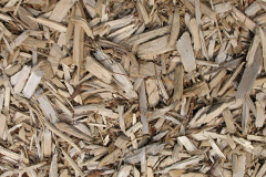 biomass boilers Pontiago